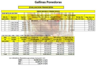 Proyectos y Planes de Negocios